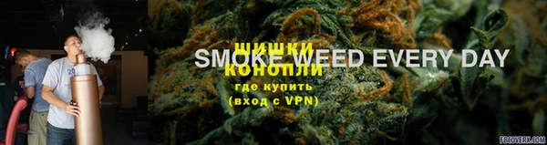 бошки Алексин