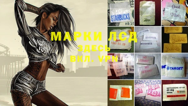 мяу мяу мука Алзамай