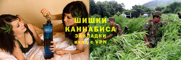 ПСИЛОЦИБИНОВЫЕ ГРИБЫ Алексеевка