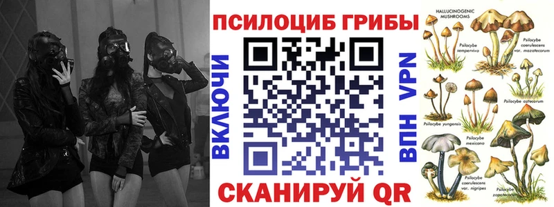 Псилоцибиновые грибы Magic Shrooms  Сосенский 